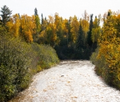 2019 10 27 NorthernMN 020